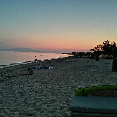Perla Studios Paralia Dionisiou Zewnętrze zdjęcie