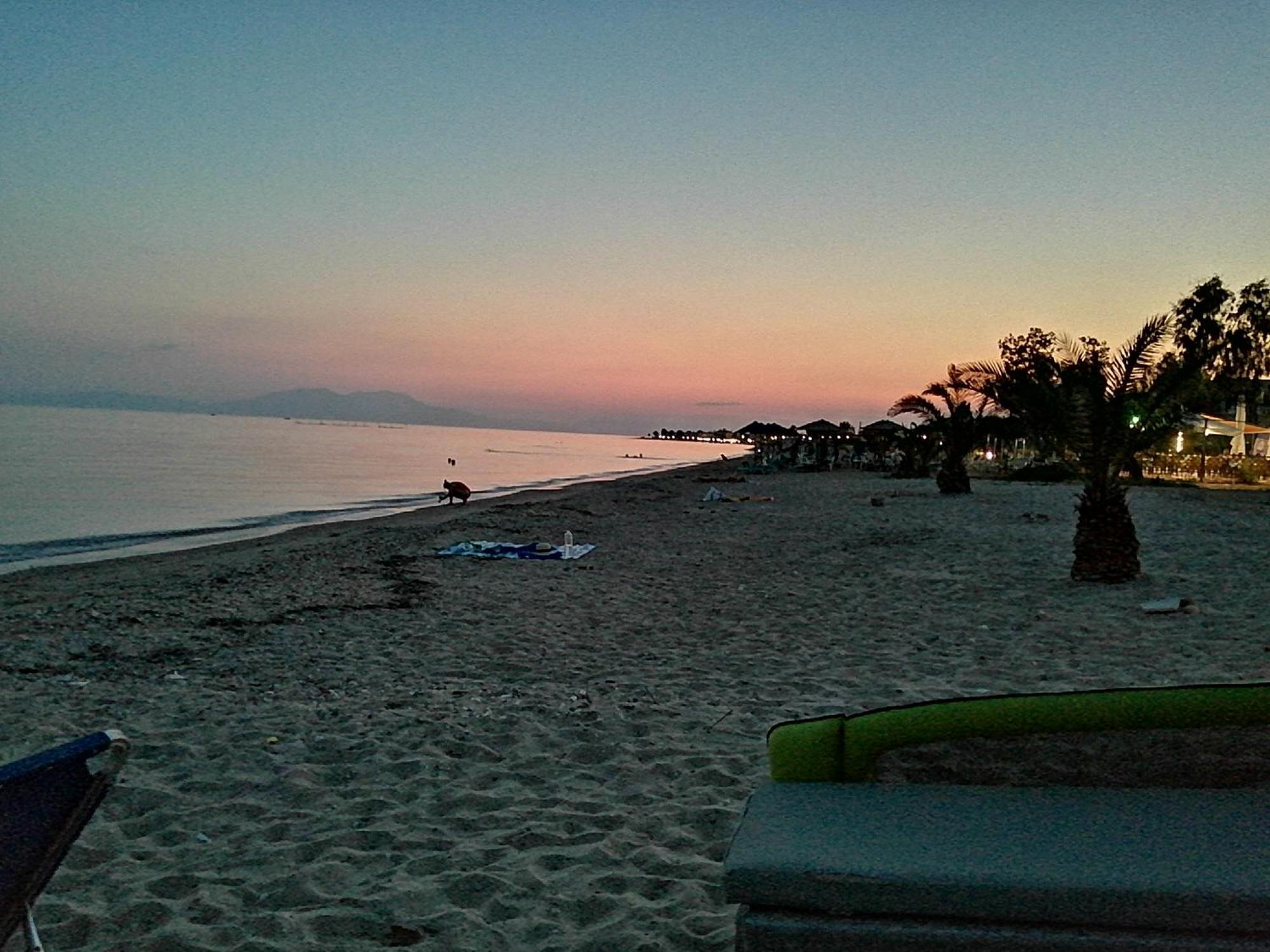 Perla Studios Paralia Dionisiou Zewnętrze zdjęcie